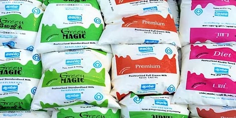 மாதவரம் பால் பண்ணை ஊழியர்களுக்கு கொரோனா - ஆவின் பால் விநியோகம் பாதிக்கப்படும் அபாயம்?