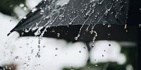 தமிழகத்தில் பல்வேறு மாவட்டங்களில் பலத்த காற்றுடன் மழை