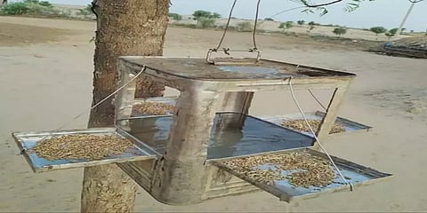 பறவைகளின் தாகத்தை தீர்க்கும் சார் ஆட்சியர் !