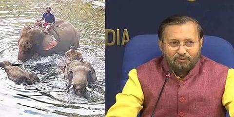 "உணவில் வெடி மருந்தைக் கலந்து கொல்வது நமது கலாச்சாரமல்ல" -  பிரகாஷ் ஜவடேகர்