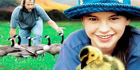 சிறகு முளைக்க வைக்கும் ‘Fly Away Home’:  ‘சிறுமி - வாத்துகள்’ன் பாசப்போராட்டம்...!