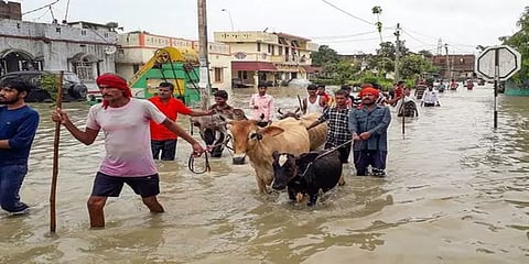 பீகார் வெள்ளம்: 18 பேர் உயிரிழப்பு; 10 லட்சம் பேர் பாதிப்பு !