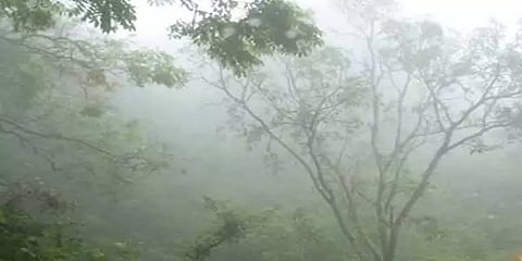 முன்னெச்சரிக்கை நடவடிக்கைகளை  எடுங்கள் - நீலகிரி மாவட்டத்திற்கு ரெட் அலர்ட் எச்சரிக்கை!