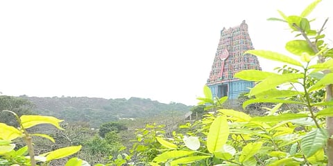திருத்தணி ஆடிக்கிருத்திகை தெப்பத்திருவிழா ஆன்லைன் மூலம் நேரடி ஒளிபரப்பு –கோயில் நிர்வாகம்