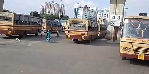 தமிழகம் முழுவதும் அரசுப் பேருந்துகள் இயங்கத் தொடங்கியது!