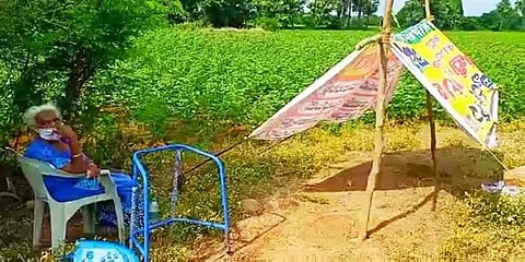 கொரோனா பாஸிட்டிவ்  வந்ததால் தாயை வீட்டை விட்டு வெளியேற்றி வயக்காட்டில் விட்ட மகன்கள்..!