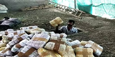 கல்லூரி மாணவர்களுக்காக ஆட்டுப் பண்ணையில் மறைக்கப்பட்ட 1350 கிலோ கஞ்சா.. போலீஸ் அதிரடி