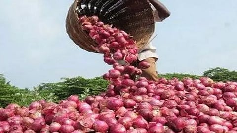 Onion
