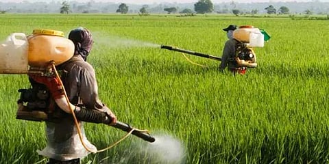 விவசாயிகள் தற்கொலைகள் குறித்த எந்த தரவுகளும் இல்லை: மத்திய அமைச்சர் பதில்