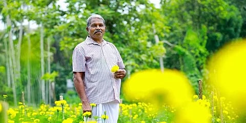 72 வயதிலும் பூக்கள் விவசாயம்:  ஊரடங்கிலும் வருமானம் பார்த்த கேரளக்காரர்