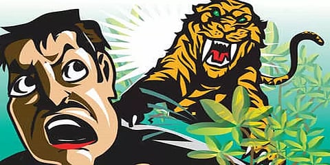 இணைய வசதிக்காக திறந்தவெளியில் ஆன்லைன் வகுப்பு:  சிறுத்தையால் தாக்கப்பட்ட கல்லூரி மாணவர்