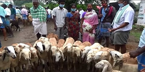 போச்சம்பள்ளி சந்தையில் ஆடு, கோழிகள் விற்பனை அமோகம்: விவசாயிகள் மகிழ்ச்சி