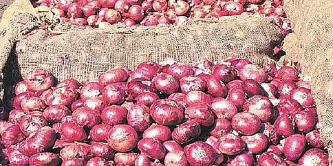 பெரம்பலூர் அருகே 2000 டன் பெரிய வெங்காயம் பதுக்கல்