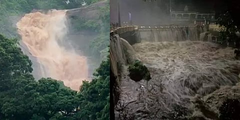 தொடரும் கனமழை... குற்றாலம் அருவியில் பெருக்கெடுத்த வெள்ளம்!