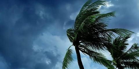 சென்னையை நெருங்கும் நிவர் புயல் சின்னம்!