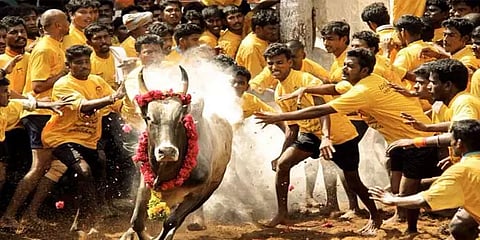 மதுரையில் எந்தெந்த இடங்களில் எப்போது ஜல்லிக்கட்டு? - தேதிகள் அறிவிப்பு
