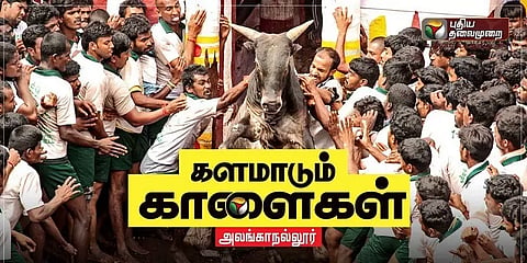 அனல் பறக்கும் அலங்காநல்லூர் ஜல்லிக்கட்டு: விளம்பர இடைவேளையின்றி சிறப்பு நேரலை!