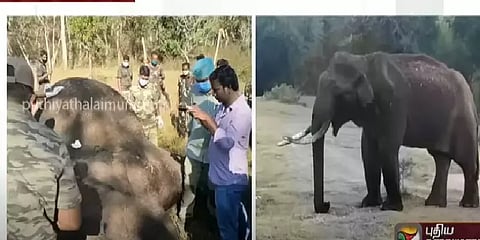 டயரில் தீக்கொளுத்தி யானைமீது வீசிய கொடூரம் - பதைபதைக்கும் வீடியோ காட்சிகள்
