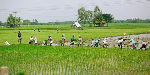 '11.2 லட்சம் விவசாயிகளுக்கு PM-KISAN லாக்டவுன் நிதி செல்லவேயில்லை!'- ஆர்டிஐ சொல்வது என்ன?