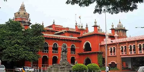 யானைகளை காட்டுக்குள் விரட்ட பட்டாசுகளை வெடிக்கக்கூடாது - வனத்துறைக்கு நீதிமன்றம் உத்தரவு