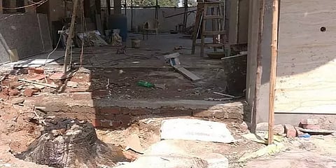 ''வேப்பமரத்தை வெட்டிட்டாங்க; ஆக்‌ஷன் எடுங்க..'' - வனத்துறைக்கு போன் போட்ட சிறுவன்!