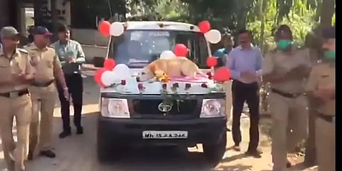 11 வருட சேவைக்கு மரியாதை.. பிரிவு உபசார விழாவுடன் ஓய்வுபெற்ற மோப்ப நாய்!