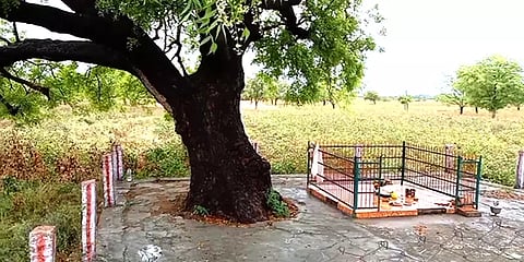 அருப்புக்கோட்டை:  மின்னல் தாக்கி ஆடு மேய்க்கச் சென்ற தந்தை, மகன் உயிரிழப்பு