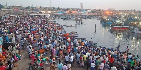சனி, ஞாயிறு விற்பனைக்கு தடையால் காசிமேடு மீன் மார்க்கெட்டில் இன்று அலைமோதிய மக்கள் கூட்டம்
