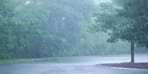 தமிழகத்தின் பல்வேறு மாவட்டங்களில் மழை!