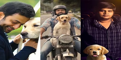 எதிர்பார்ப்புகளை எகிற வைத்துள்ள ‘777 சார்லி’ - தமிழில் வெளியிடும் கார்த்திக் சுப்புராஜ்!