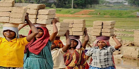 முன்பு 28.2%, பின்பு 79.6%... - தமிழகத்தில் கொரோனாவால் கருகும் நாளைய தலைமுறையின் கனவுகள்!