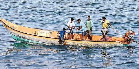 மீன்கள் விலை உயர வாய்ப்பு?