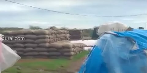 காஞ்சிபுரம்:  8,000 நெல் மூட்டைகள் மழையில் நனைந்து நாசம்