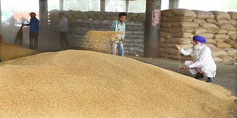 குறைந்தபட்ச ஆதரவு விலை: உ.பி. வரலாற்றில் அதிகபட்ச கோதுமை, நெல் கொள்முதல்