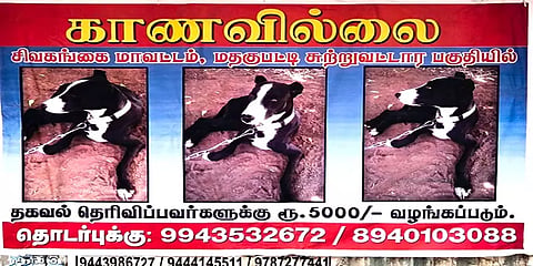 காணாமல் போன நாயை கண்டுபிடித்து தருவர்களுக்கு ரூ.5,000 சன்மானம்: போஸ்டரால் பரபரப்பு