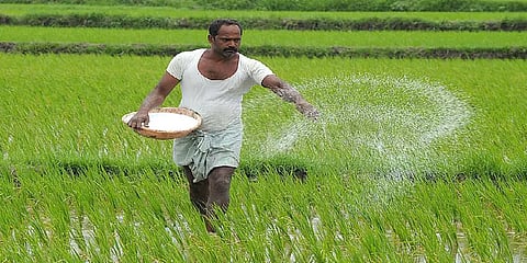விவசாய கடன்களை தள்ளுபடி செய்யும் திட்டம் இல்லை - மத்திய அரசு
