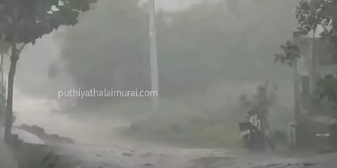 தமிழகத்தில் பெய்யும் தொடர் மழை -  மகிழ்ச்சியில் டெல்டா விவசாயிகள்