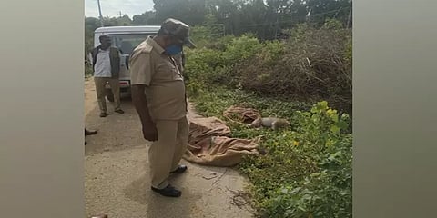 கர்நாடகா: விஷம் வைத்து கொல்லப்பட்ட 20 குரங்குகள்!