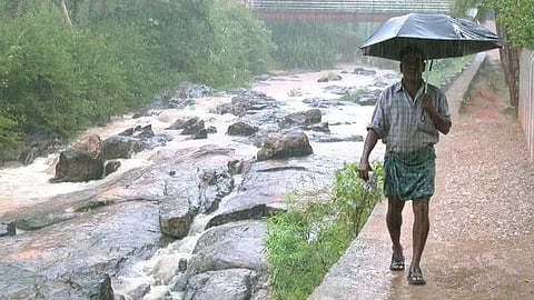rain