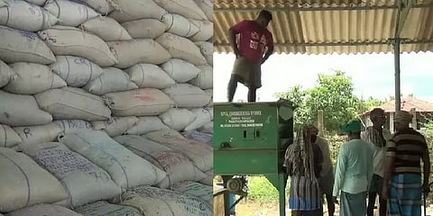 தஞ்சையில் முழுவீச்சில் நேரடி நெல் கொள்முதல் பணி: கூடுதல் நிலையங்களை திறக்க கோரிக்கை