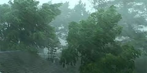 கூடலூரில் சுமார் ஒரு மணி நேரம் பெய்த கனமழை - நீரோடைகளில் வெள்ளப்பெருக்கு