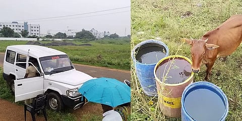 திருவாரூர்: ஆட்சியர் உத்தரவுப்படி பொதுமக்களுக்கு இடைஞ்சல் தந்த 120 மாடுகள் கைது