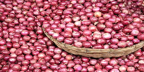 வெங்காய விலை: 5 முதல் 12 ரூபாய் வரை குறைந்திருப்பதாக மத்திய அரசு தகவல்