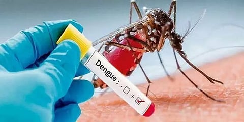 காஷ்மீரில் ஆயிரத்திற்கு மேற்பட்டோருக்கு டெங்கு
