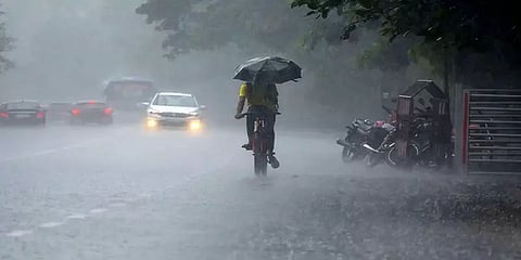 கனமழை: தூத்துக்குடி, திருநெல்வேலி, செங்கல்பட்டு மாவட்ட பள்ளி, கல்லூரிகளுக்கு நாளை விடுமுறை