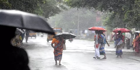 டிசம்பர் மாத மழைப்பொழிவு இயல்பை விட அதிகமாக இருக்கும் - வானிலை ஆய்வுமையம்