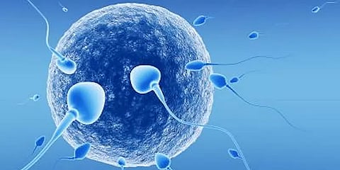 இந்தியாவில் அதிகரிக்கும் செயற்கை கருத்தரித்தல் முறை... பின்னணியும் களநிலவரமும் என்ன?-அலசல்