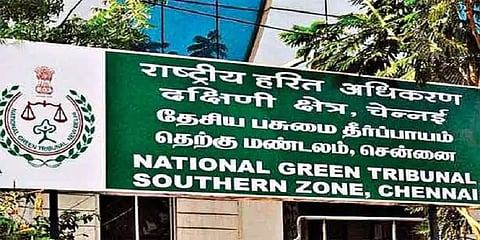 வனப்பகுதியில் உள்ள மரங்களை வெட்டக்கூடாது - ஆரோவில் அறக்கட்டளைக்கு பசுமைதீர்ப்பாயம் உத்தரவு