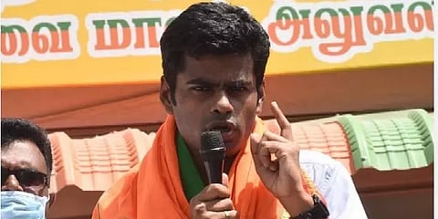 'கோமாரி தடுப்பூசி மத்திய அரசு வழங்கவில்லை என்று அமைச்சர் கூறுவது பொய்' - அண்ணாமலை