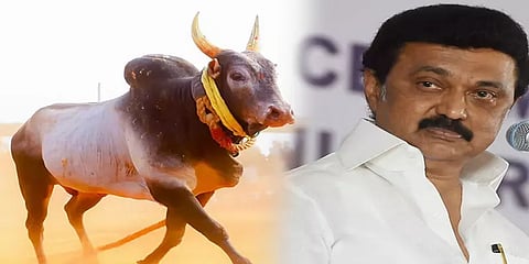 மதுரை ஜல்லிக்கட்டு போட்டி: சிறப்பு விருந்தினராக முதல்வர் ஸ்டாலினுக்கு அழைப்பு
